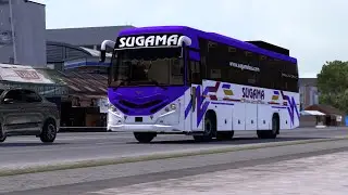 FREE Sugama Veera V8 Skin for Lynx Modding | High Quality ETS2 Mod Showcase