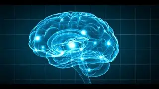 Brain imaging study shows that lonely individuals 