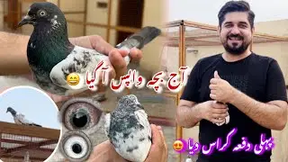 Laal tofan + taddy cross ki kahani 😳