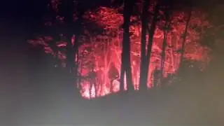 Mandy (2018) Movie: Red Miller (Nicolas Cage) Mandy is Taken!