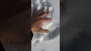 Go touch snow. ❄️ #getoutside #nature
