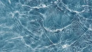 On the Complexity of Managing Transparency
