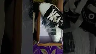 Meesho canvas unboxing under 450 #meeshounboxing#meeshoshopping#meesho#trending#short