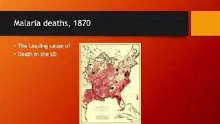 Laurie Zoloth - Global Warming, Health Care, and Chicago History