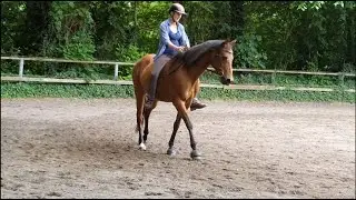 Reiten im Hier und Jetzt #11 - Sitz und Einwirkung ohne Sattel
