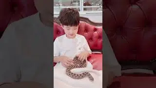 도쿄의 뱀을 찾아서🐍 (Tokyo snake center in Japan)