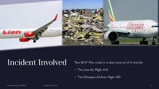 B-737 Max Crisis and the Effect to the Aviation Industry