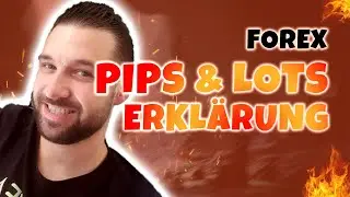 Was sind Pips / Lots / Hebel? Anf&auml;nger Erkl&auml;rung Tutorial - Wie werde ich Forex Trader