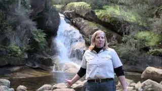 Ladies Bath falls