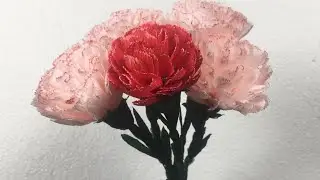 Carnation paper flower 2019 DIY | How to make Carnation from crepe paper Easy | VUNU ART