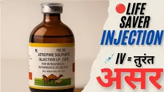 Atropine Sulphate Injection Veterinary Use | ज़हर, दस्त, Diarrhea में असर | in hindi 