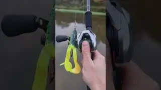 Shimano Scorpion DC LMAB Drunk Dancer #shorts