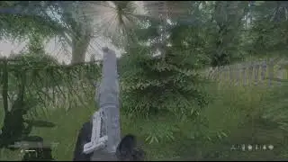 Random DayZ clips #18