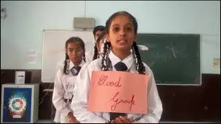 How Your Heart Pumps Blood &ndash; Student Activity