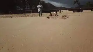 Clips of DJI Drone fly in Hawaii West Shore Waianae Nānākuli Beach