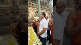 At Mahabodhi: A Moment of Peace in Bodh Gaya, Bihar