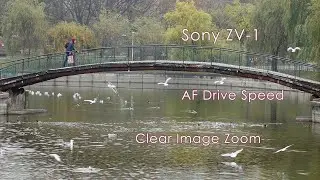 Sony ZV 1 AF Speed Clear Image zoom test