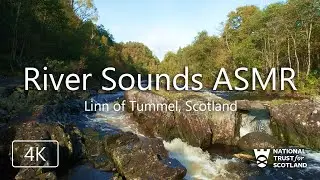 1 Hour Flowing River Sounds ASMR | Linn of Tummel, Scotland | Relaxing Nature Water Sounds