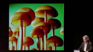 Richard Evans Schultes' Explorations &ndash; Wade Davis