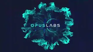 Meet The Founders of Opus-Labs