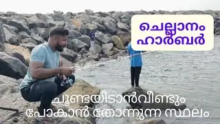 fish hunting with chellanam harbour @ sunday.ചെല്ലാനം ഹാർബറിലെ ഞായറാഴ്ചത്തെ മീൻ പിടുത്തം....