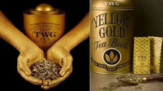 بسعر يصل الى مليون دولار أغلى أنواع الشاي في العالم