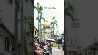 Singapore's Bucket List: Hotspots You Can't Miss #singapore #singaporean #travel #singaporevideos