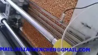 peanut chikki production line