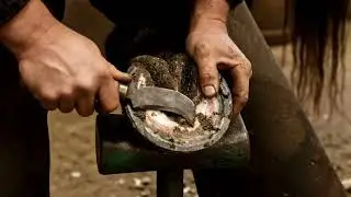 ✨ Pick up feet with ease in summer 💧 #HorseCare #HoofPick #EquineCare