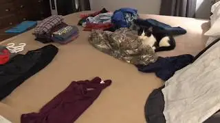 Quick Speed Clean// Laundry catch up