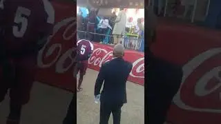 Bejani mathebula