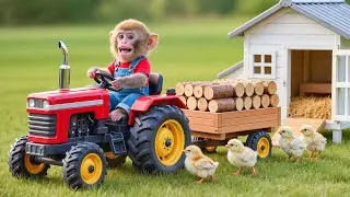 🐒🐔🌪️💥 Monkey NaNa Rebuilds the Chicken House After a Terrifying Storm Destroyed Everything! 😱🏡