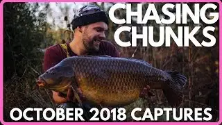 CARP FISHING OCTOBER CAPTURES @  CHASING CHUNKS FACEBOOK GROUP