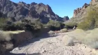 Kofa Queen Canyon trail ride