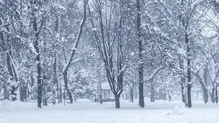 Relaxing Nature Sound Relieves Stress, Anxiety and Depression, Sounds of Nature