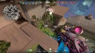 Veto+Sage bug OP bug on Abyss
