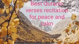 #Quranic verses recitation for #anxiety #depression #insomnia #relief #calm #relaxing #mentalhealth