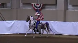 Paddyngton's Mark Of Distinction & Holly Armstrong