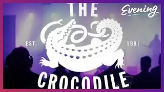 BETTER than EVER 🐊The Crocodile is back