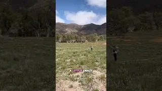Day 1 on the Heysen Trail, a solo journey hiking Australia&rsquo;s longest marked walking trail (1,200km)