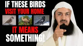 If You See These Birds at Your Home, It's a Powerful Sign From Allah! | Mufti menk