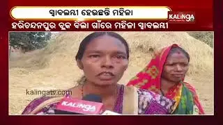 Tribal Women Turn Entrepreneurs With Tasar Silk Farming In Keonjhar || KalingaTV