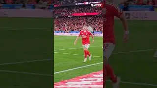 💥 #Rollheiser #SLBGVFC #LigaPortugalBetclic