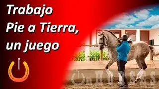Rafael Ortiz en su 