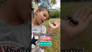 Today&rsquo;s video Topic is Invasive BUGS #homeschooling #homeschoolactivities #familyvlog