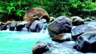 Relaxing River and Birdsong ASMR - Nature’s Ambience for Sleep, Study, and Calm Focus
