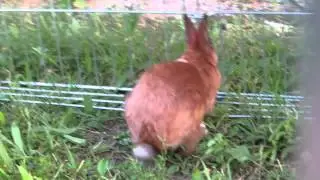 Gruppenvideo