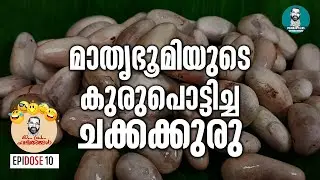 അത് ചക്കക്കുരുവല്ല, അതുപോലത്തെ ഒരു കുരു | MAPRA Phalithangal Ep 10 | George Pulickan