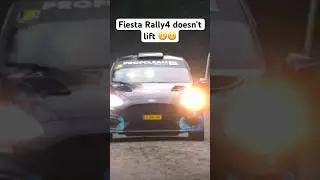 Fiesta Rally4 doens't life 