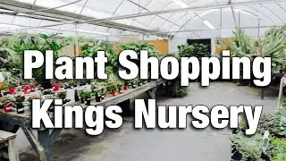 Plant Shopping - Kings Nursery - Charlotte